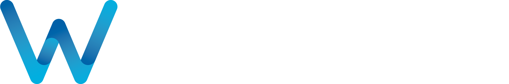 wetico Logo